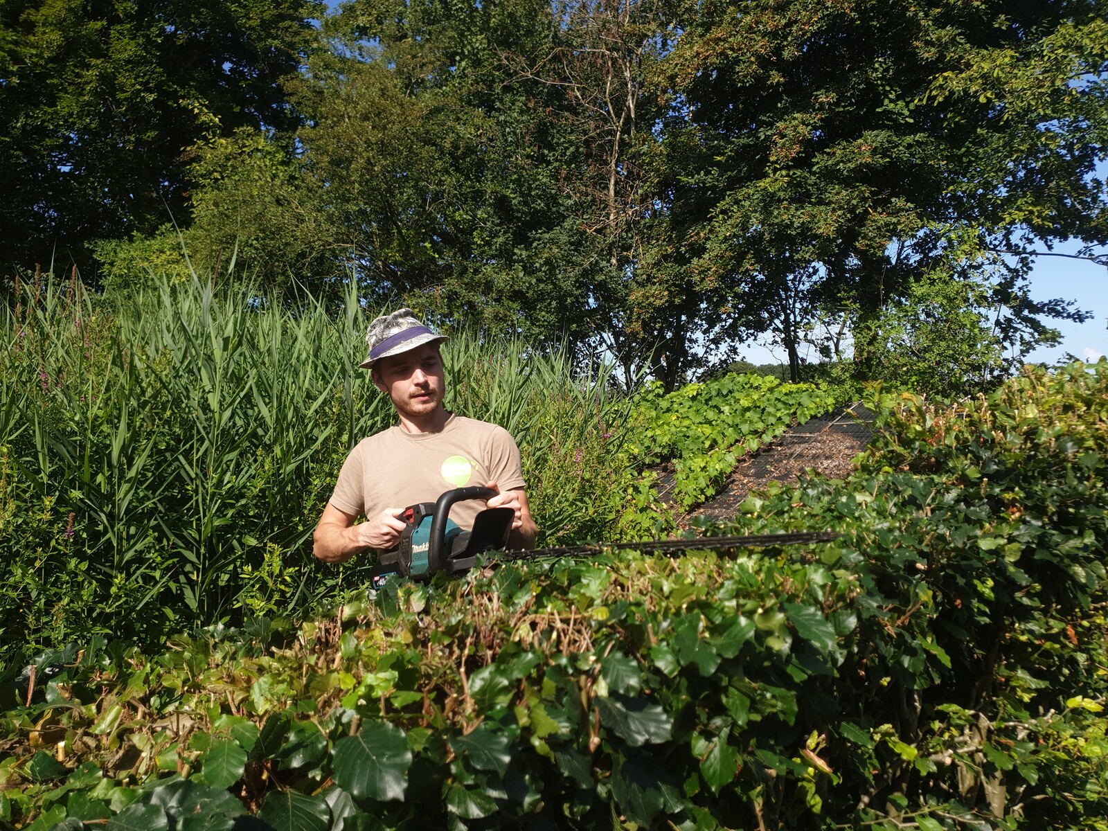 Iddo aan het werk in een groene tuin