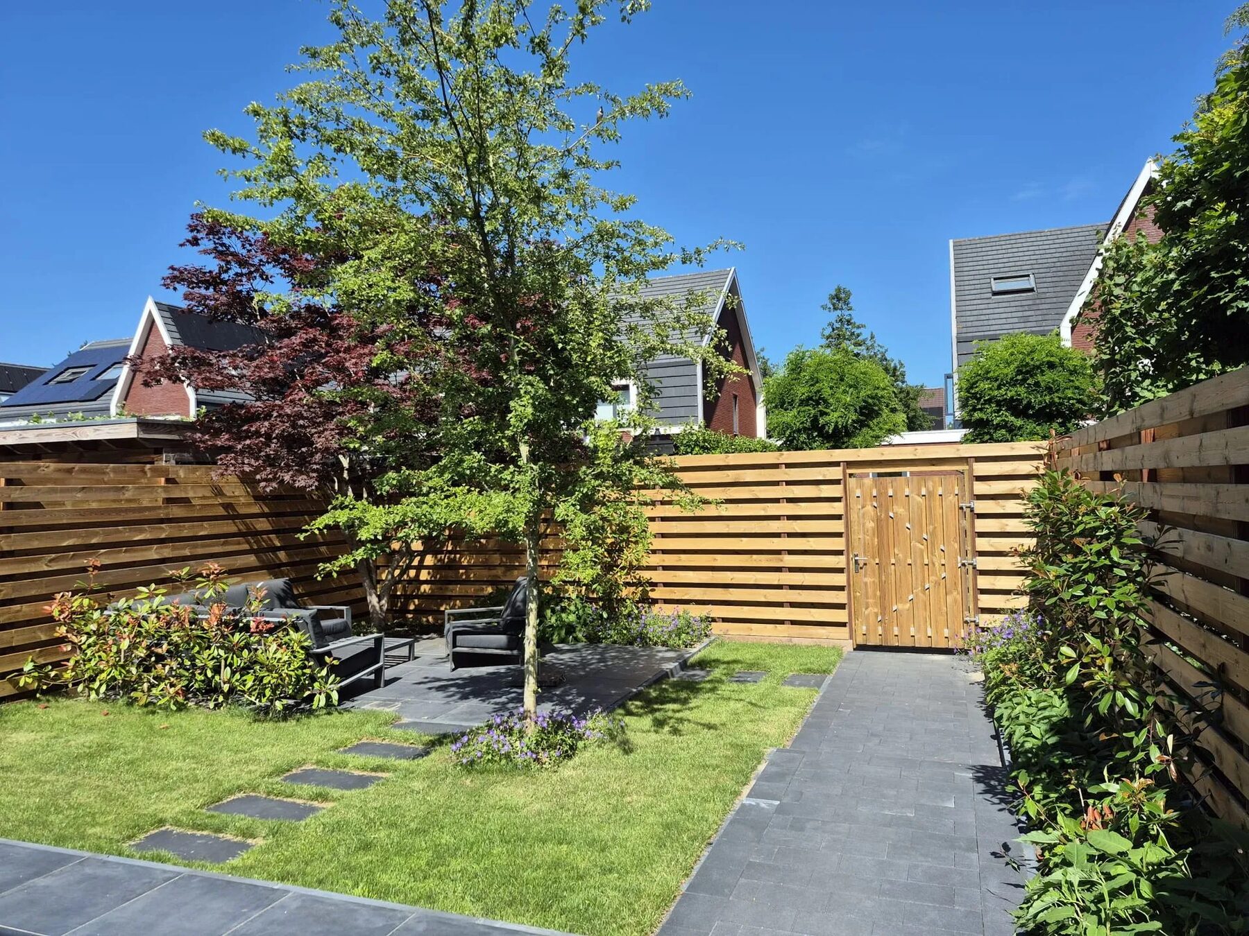 Afgewerkte tuin met gazon, terras en beplanting